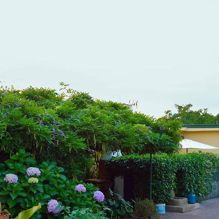 A Tintureira Villa Sao Martinho de Antas Ngoại thất bức ảnh