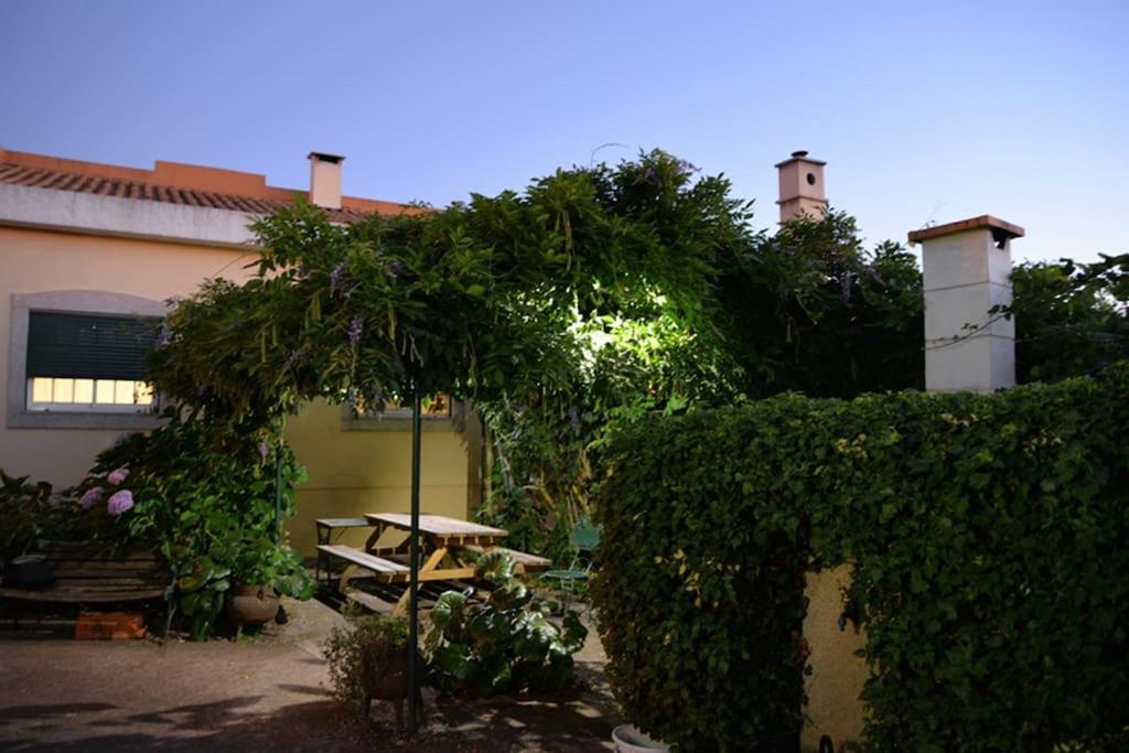 A Tintureira Villa Sao Martinho de Antas Ngoại thất bức ảnh