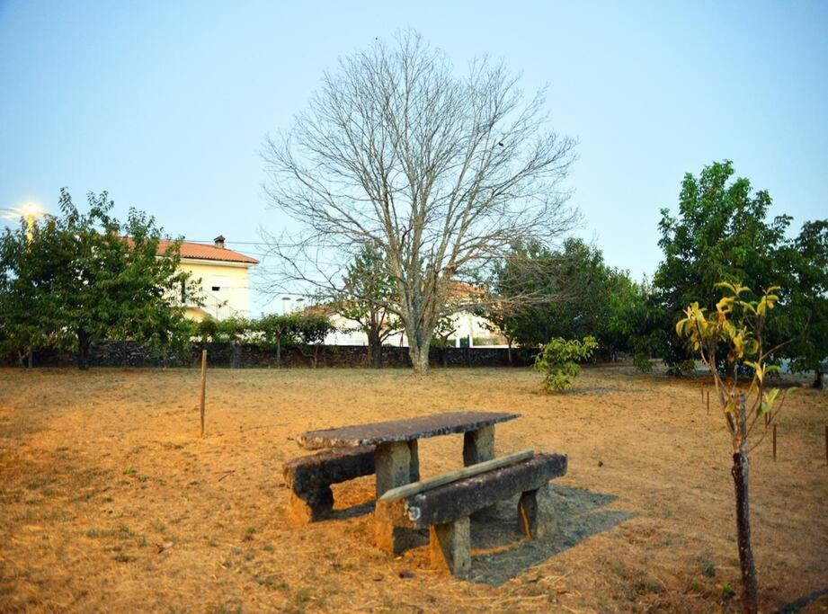 A Tintureira Villa Sao Martinho de Antas Ngoại thất bức ảnh